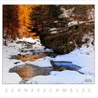 SCHNEESCHMELZE