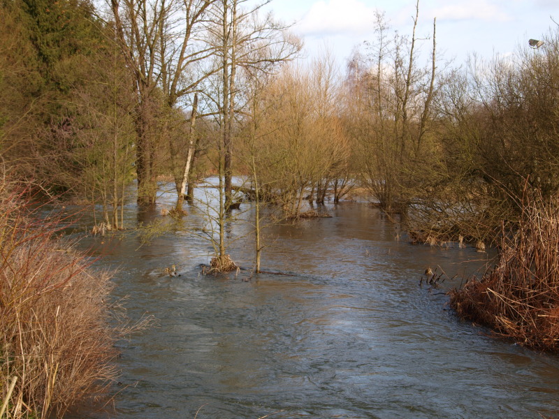 Schneeschmelze a.d.Wupper