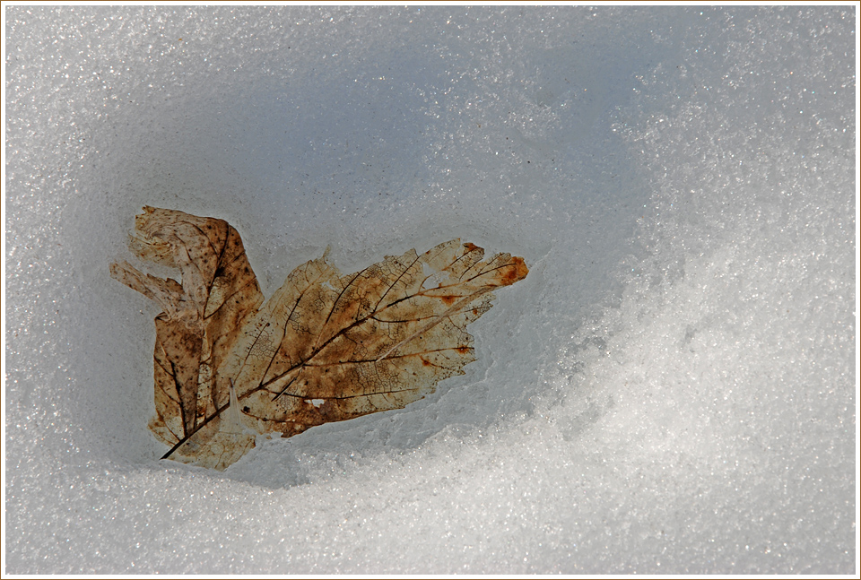 Schneeschmelze durch Bio-Wärme