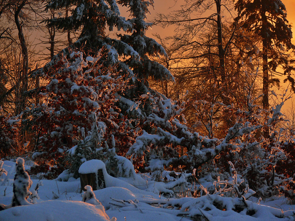 Schneeschmelze im Abendlicht