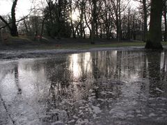 Schneeschmelze im Birkenwäldchen in Salzwedel