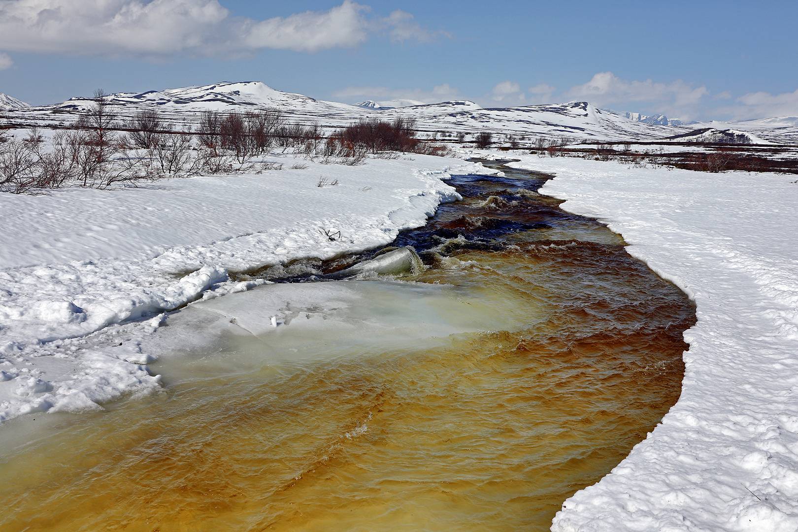 Schneeschmelze im Dovrefjell