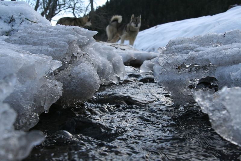 Schneeschmelze im Februar...???