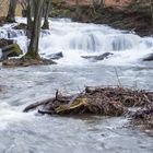 Schneeschmelze im Harz