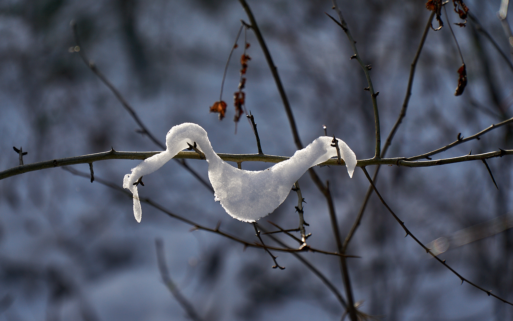 Schneeschmuck