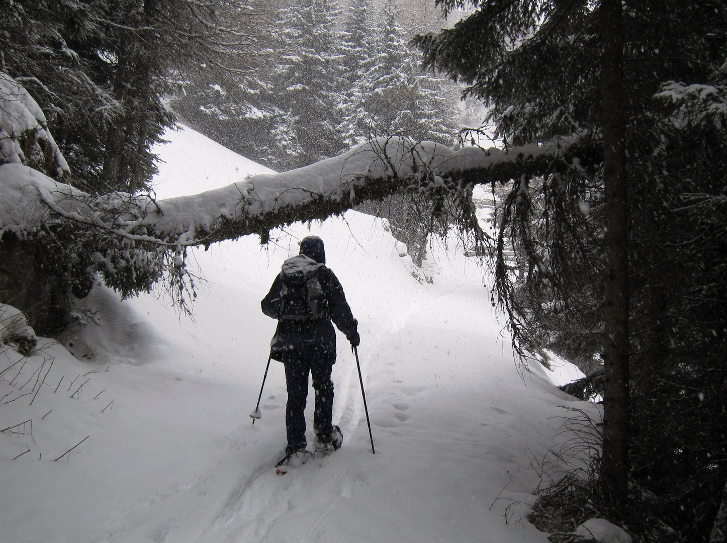 Schneeschuh-Tour .....