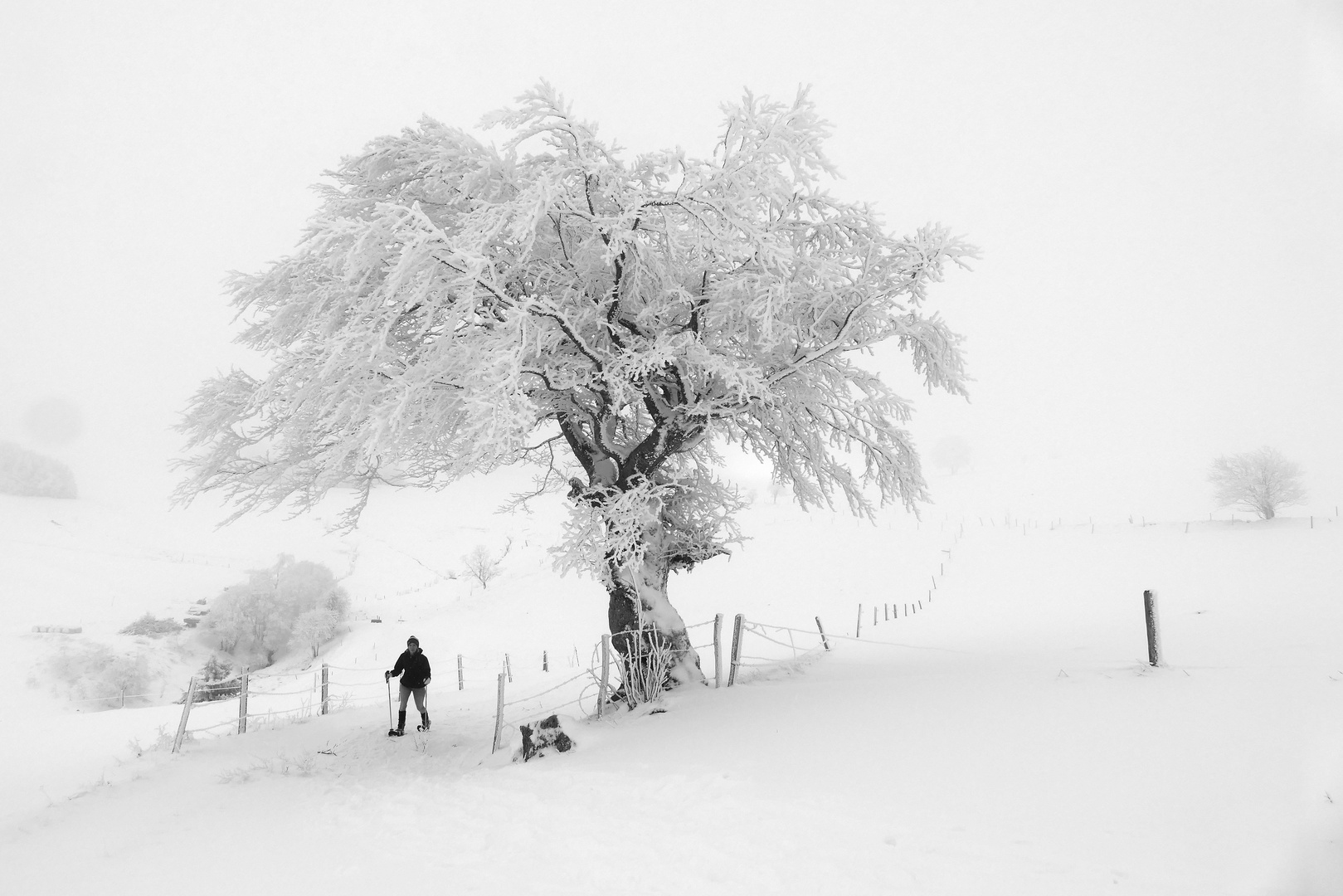 Schneeschuh-Wanderung