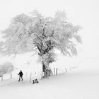 Schneeschuh-Wanderung