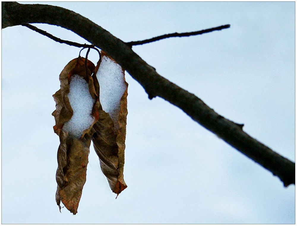 Schneeschuhe?