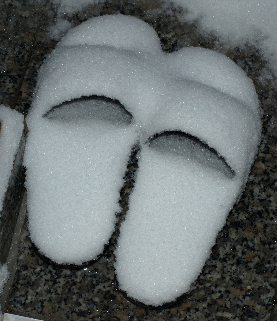 "Schneeschuhe"