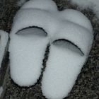 "Schneeschuhe"