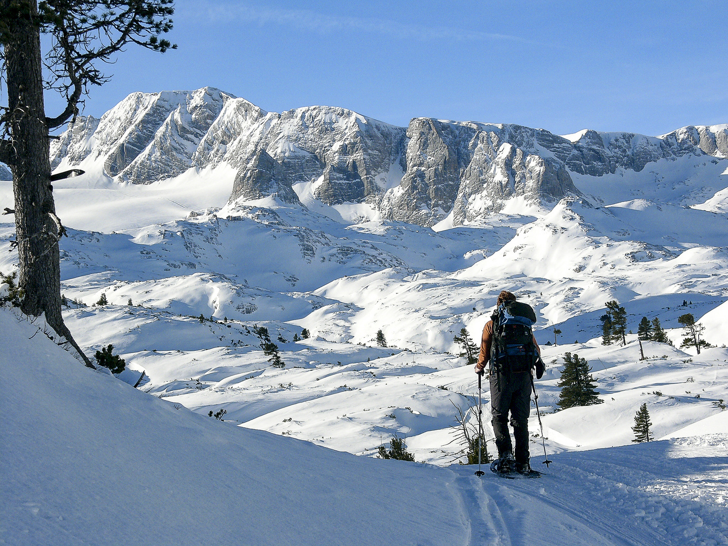 Schneeschuhgehen II