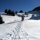 Schneeschuhlaufen im Februar