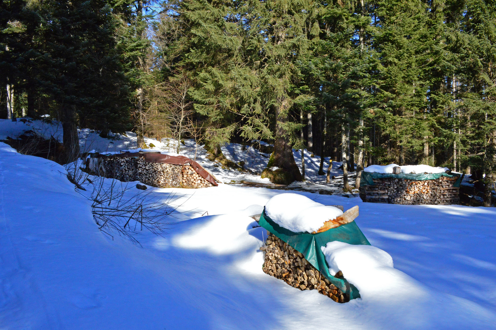 Schneeschuhlaufen Oberschaan 2015