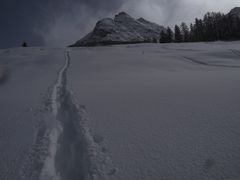 Schneeschuhspur