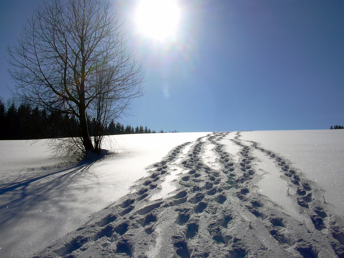 Schneeschuhtour ...