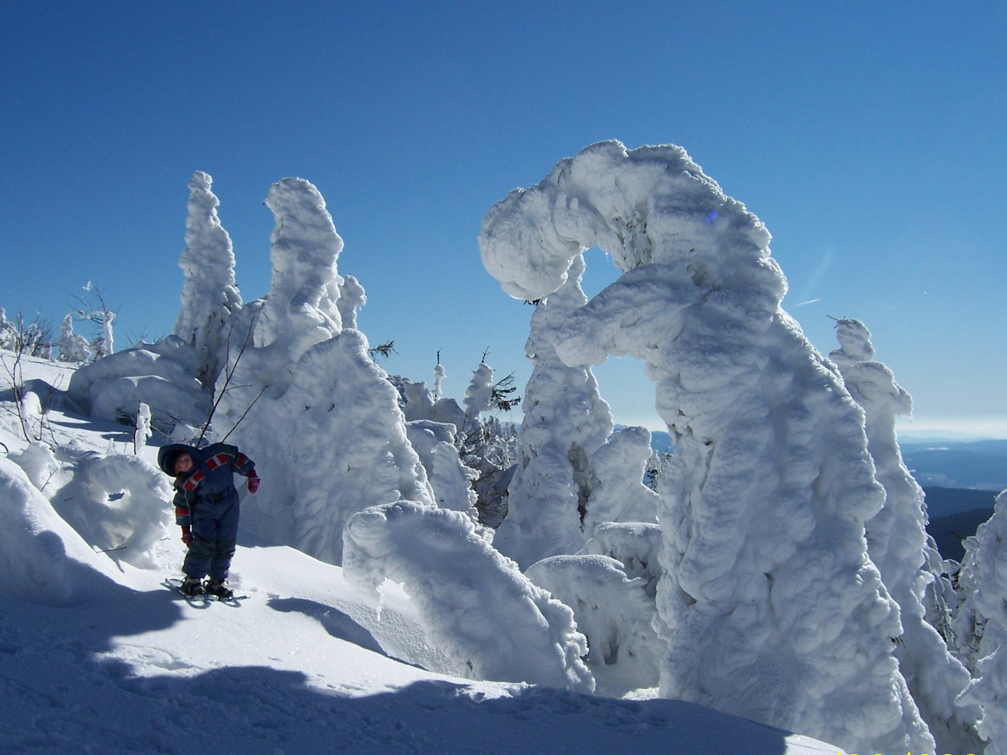 Schneeschuhtour am Gr. Arber