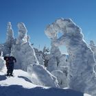 Schneeschuhtour am Gr. Arber