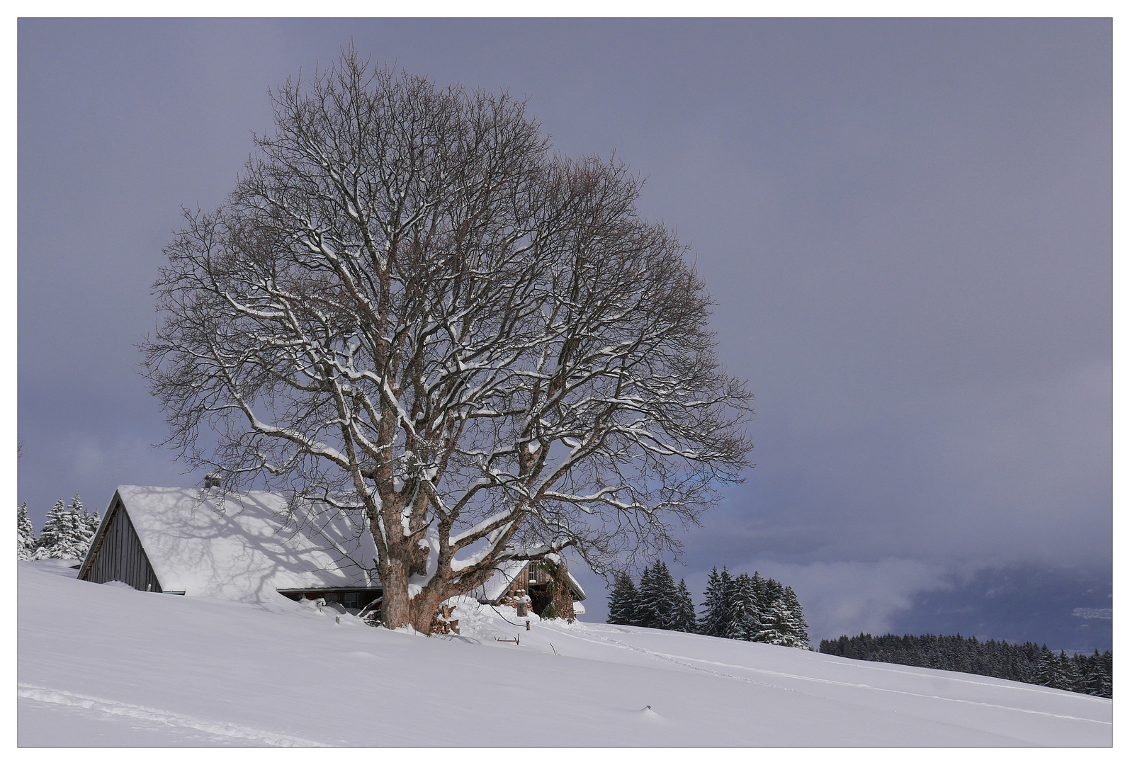 Schneeschuhtour Ölberg - 4