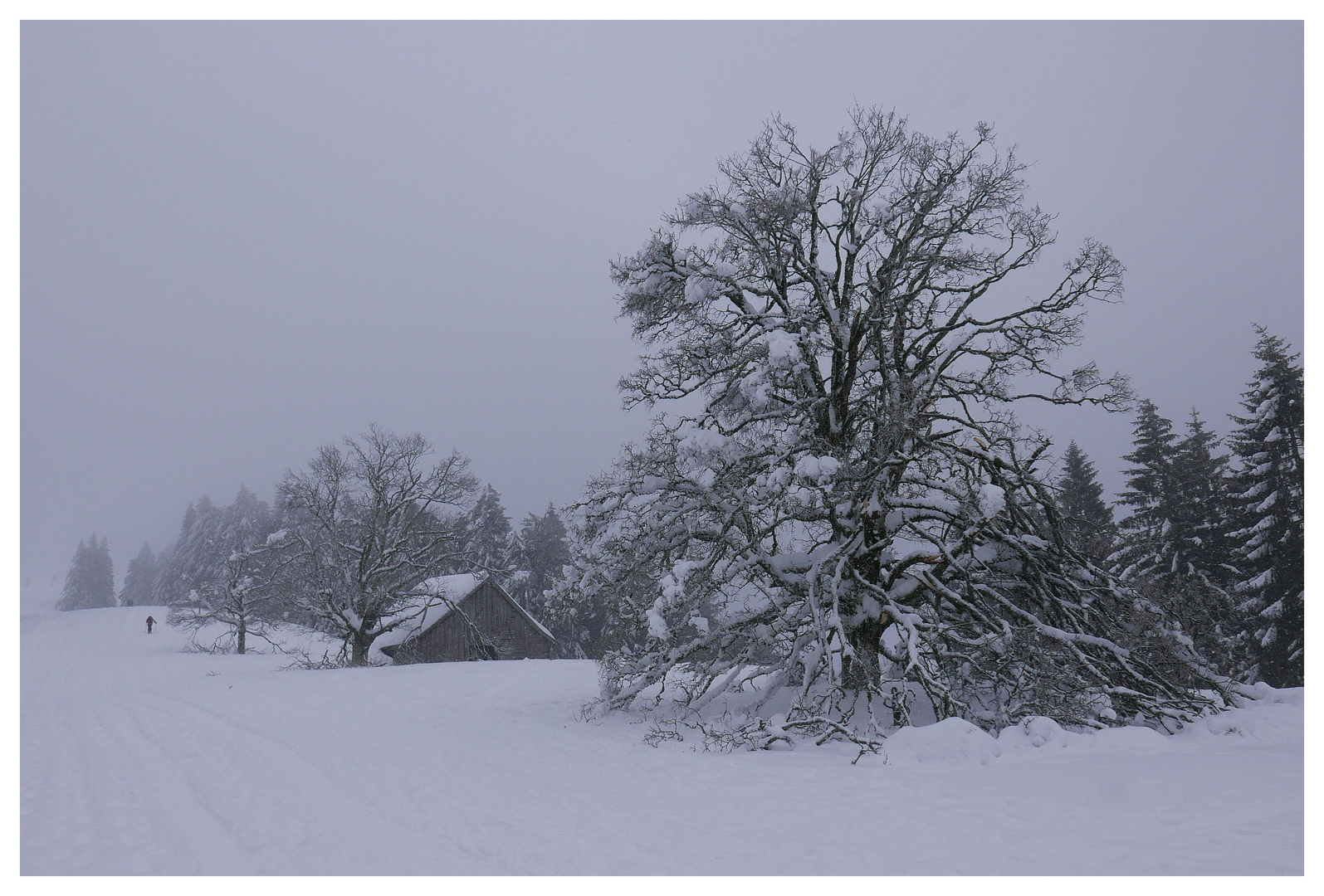 Schneeschuhtour Regelstein.