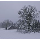 Schneeschuhtour Regelstein.