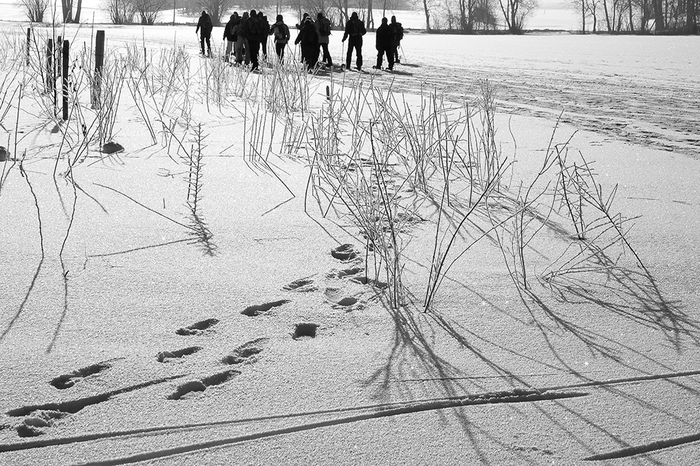 Schneeschuhtour_Heinz Schaub