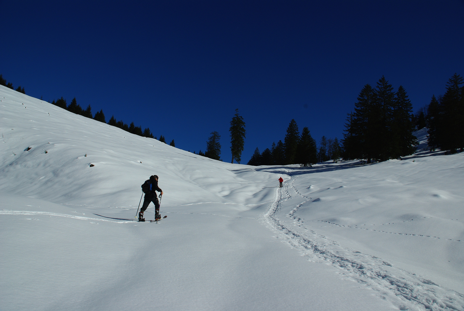 Schneeschuhwanderer am Torsattel