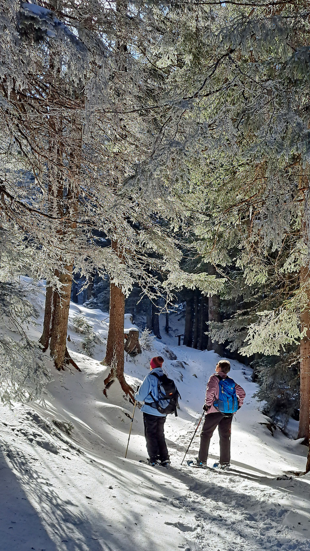 Schneeschuhwandern