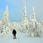 Schneeschuhwandern