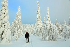 Schneeschuhwandern