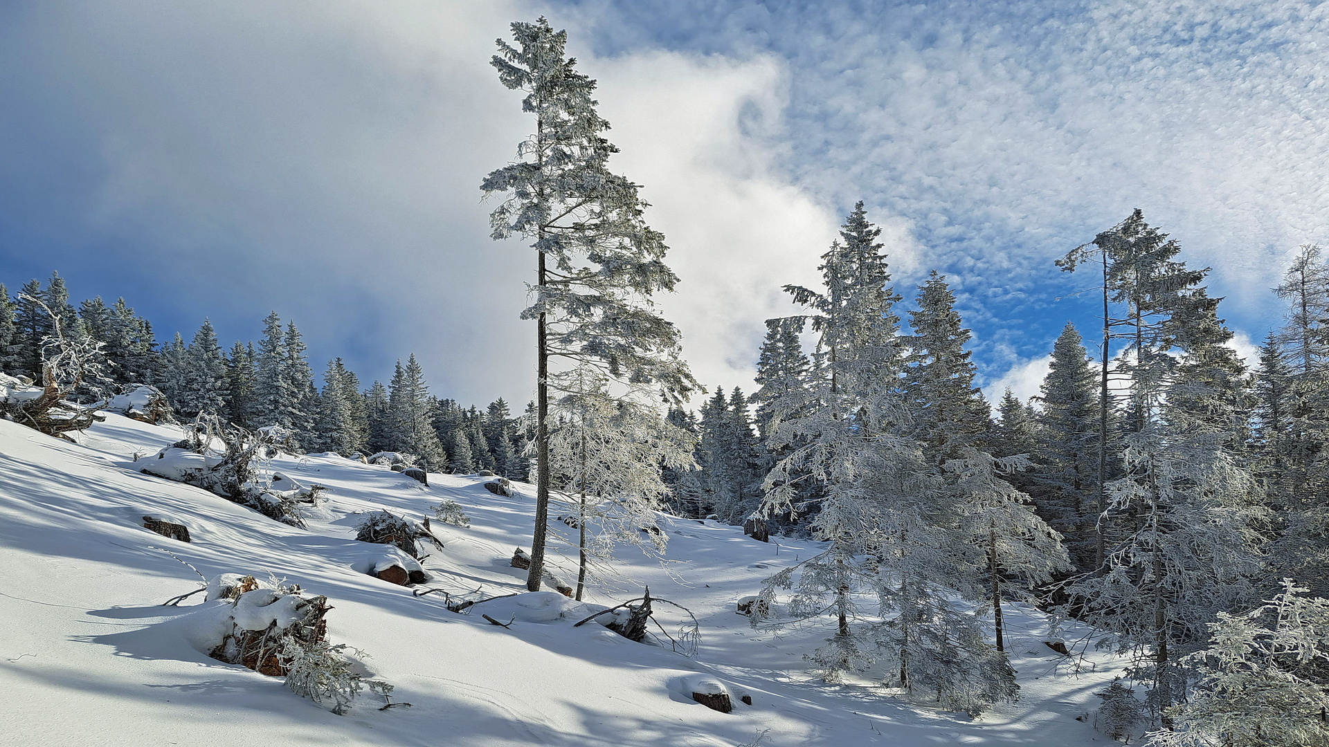 Schneeschuhwandern