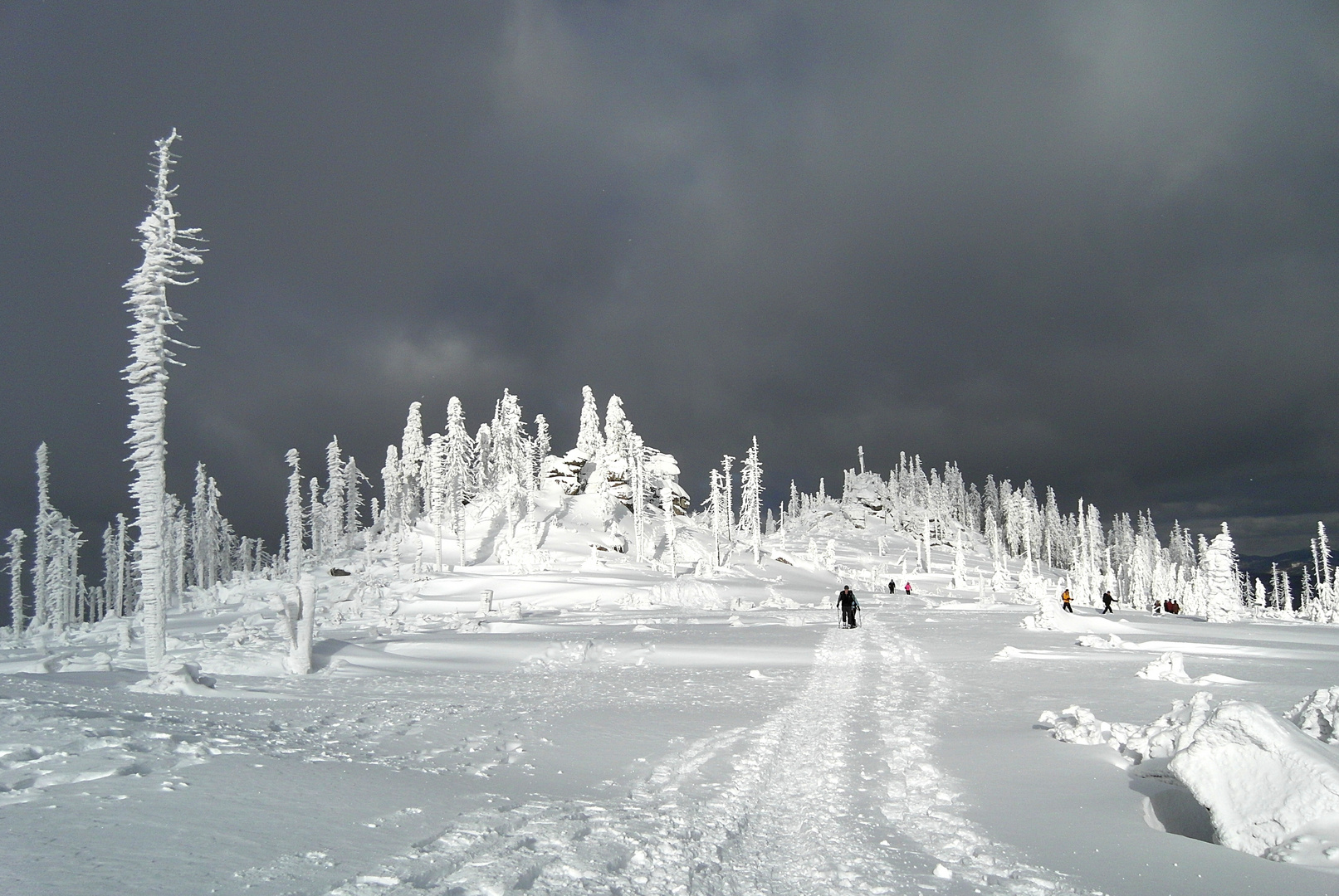 Schneeschuhwandern am Dreisessel...