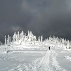 Schneeschuhwandern am Dreisessel...