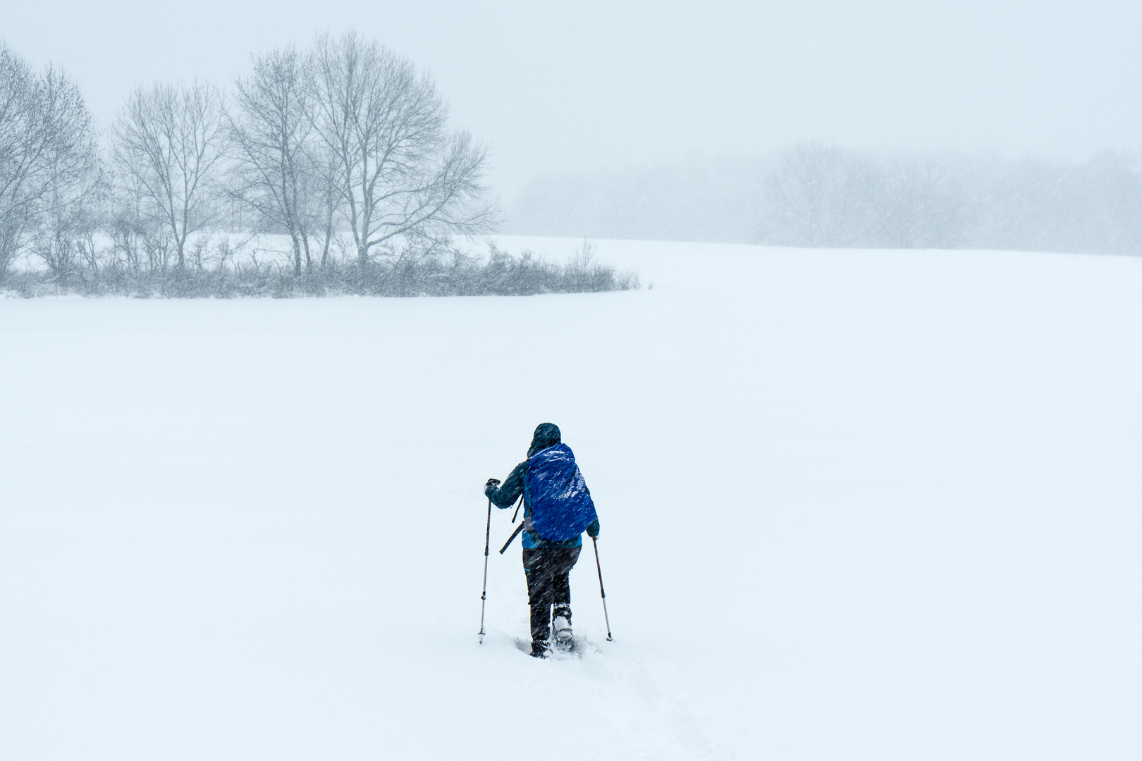 Schneeschuhwandern auf der Schwäbischen Alb