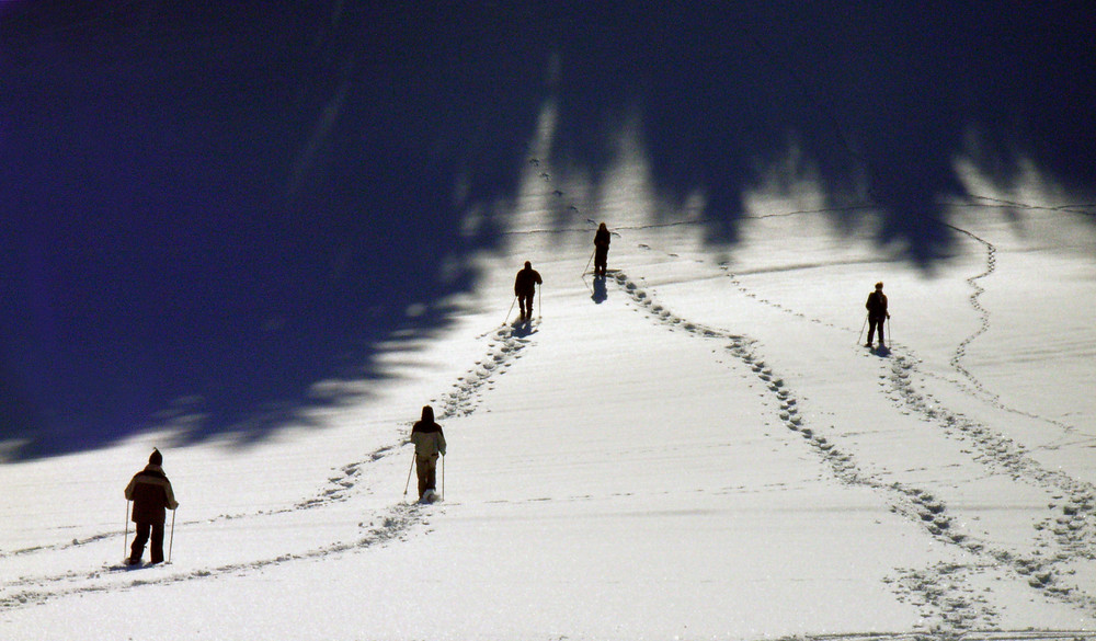 Schneeschuhwandern....