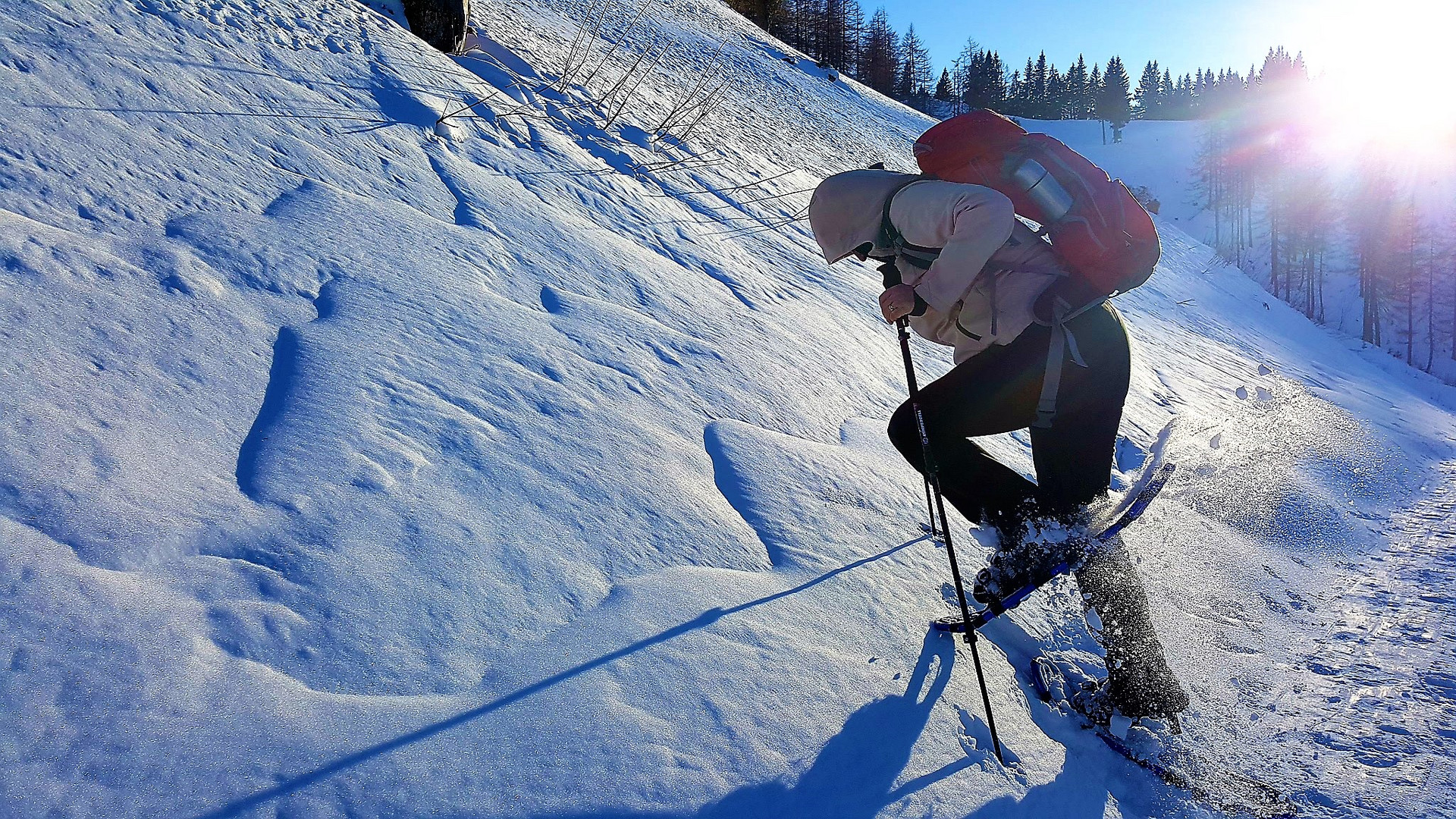 Schneeschuhwandern