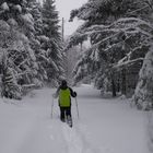 Schneeschuhwandern die Zweite