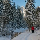 Schneeschuhwandern