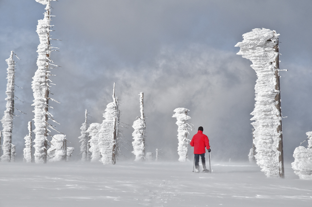 Schneeschuhwandern im Ex-Böhmerwald