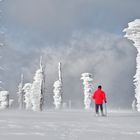 Schneeschuhwandern im Ex-Böhmerwald