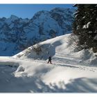 Schneeschuhwandern im Gebirge