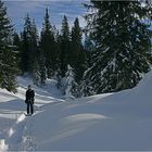 Schneeschuhwandern im Januar