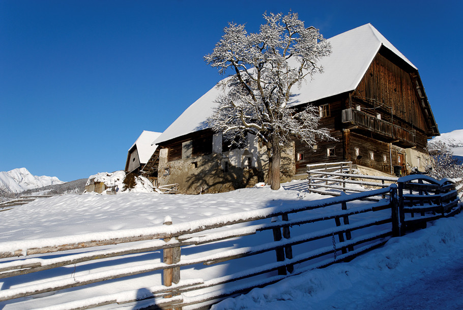 Schneeschuhwandern im Krakautal 2