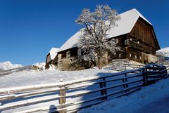 Schneeschuhwandern im Krakautal 2