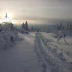 Schneeschuhwandern im Nordschwarzwald