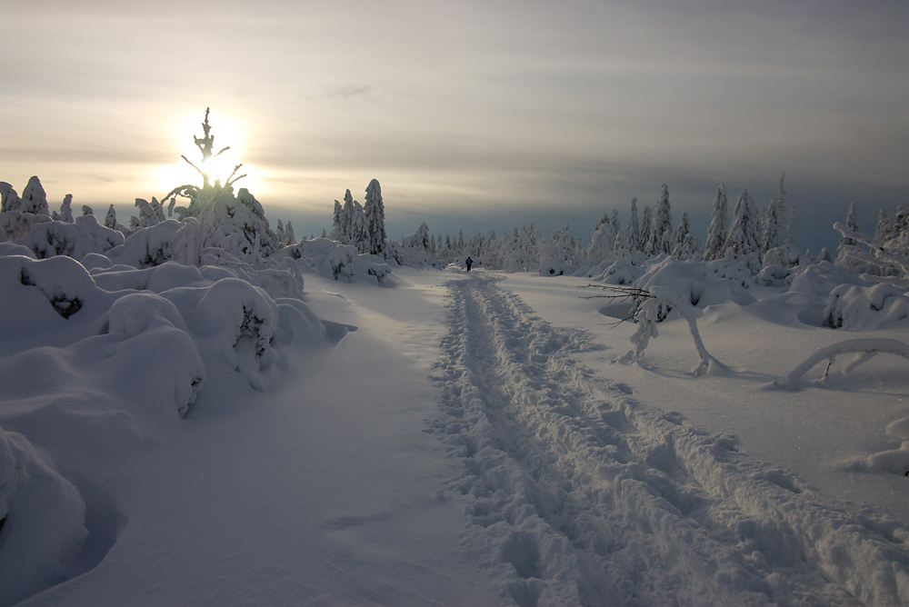 Schneeschuhwandern im Nordschwarzwald