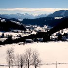 Schneeschuhwandern im Schüttentobel