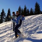 Schneeschuhwandern in Tirol