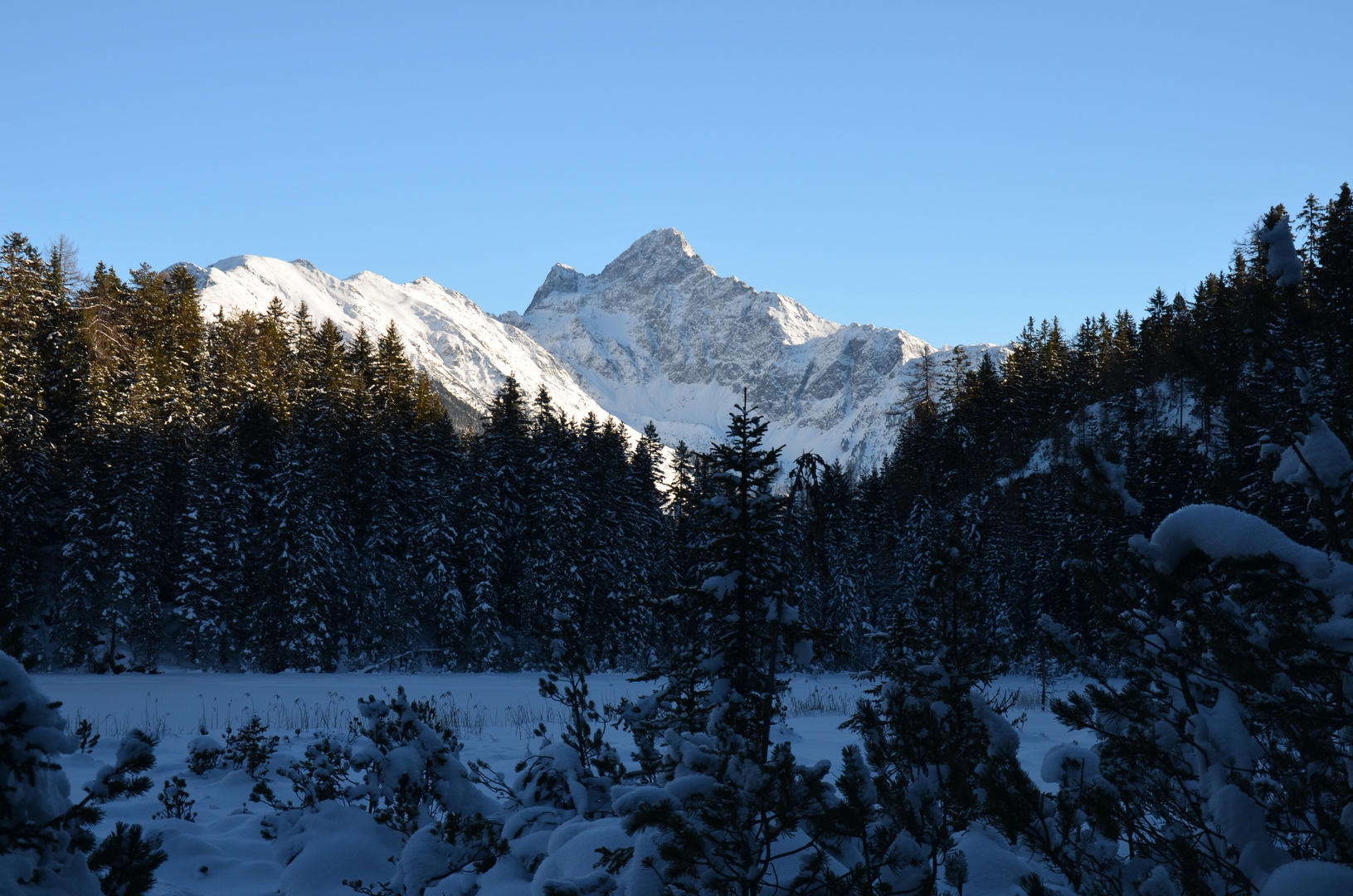 Schneeschuhwandertag in Haiming 