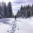 Schneeschuhwanderung